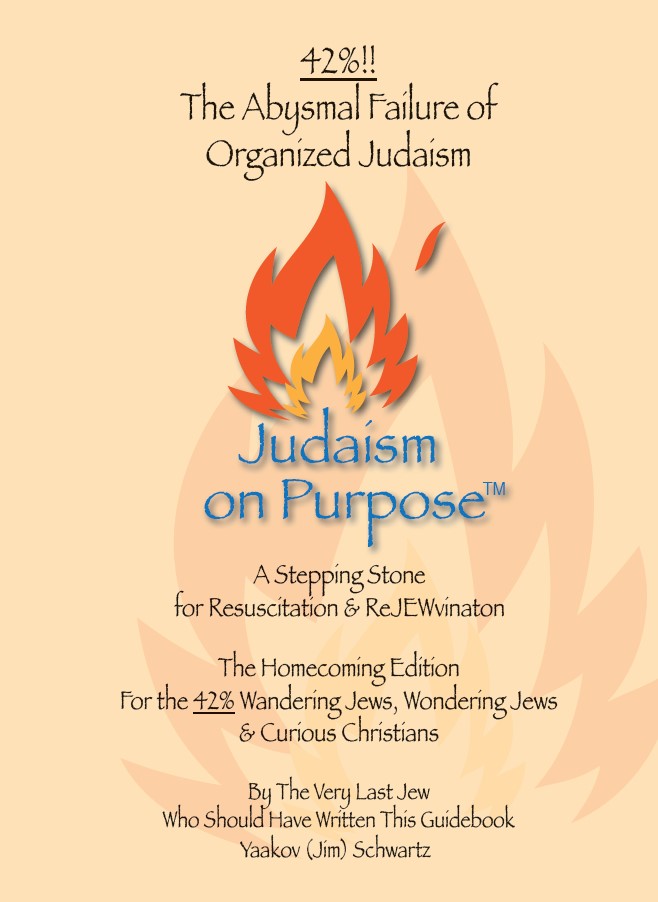 The concept judaism on purpose